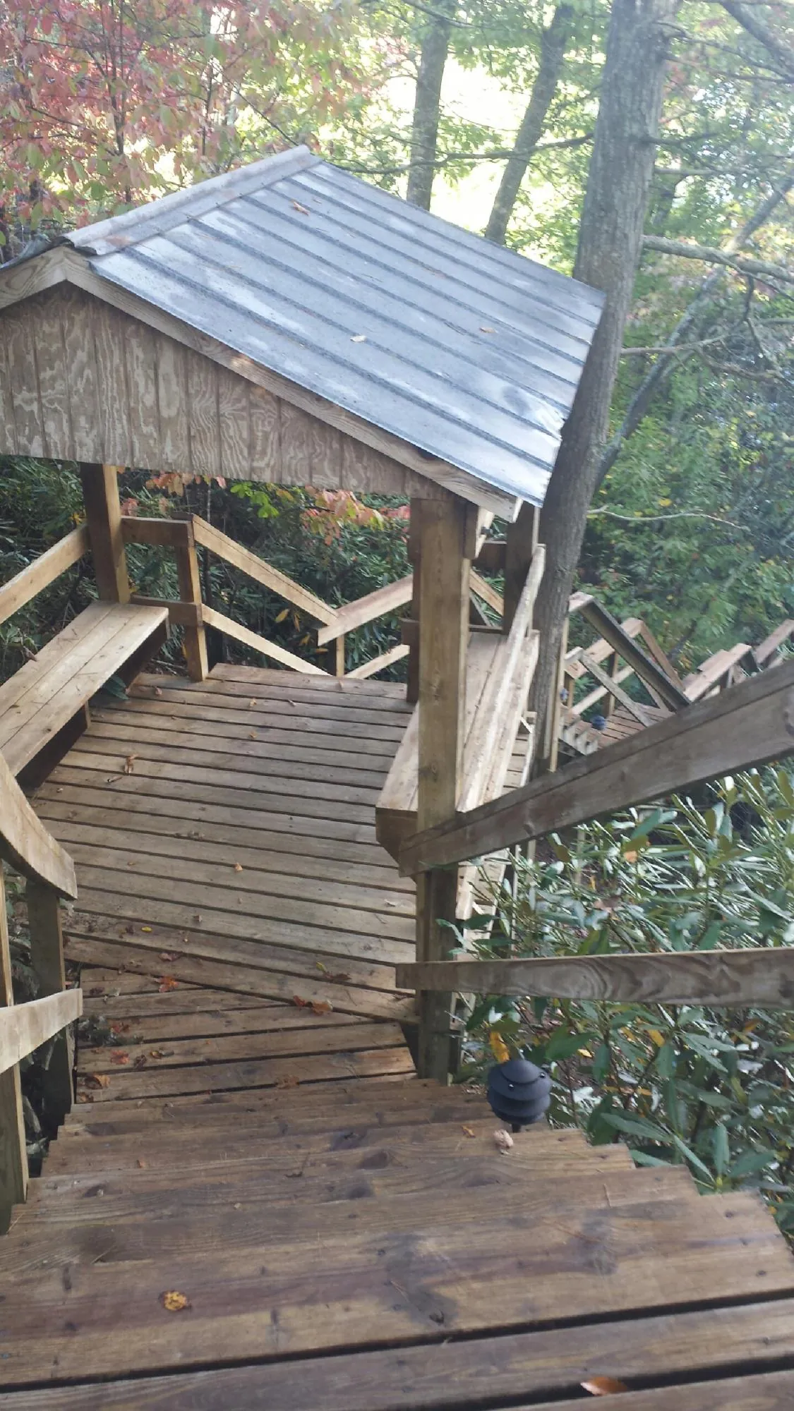 Metal roofed shelter over wooden steps on a wooded walkway — Skylight Repair & Installation work by our crew in Wartrace